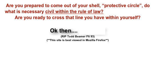 Are you prepared to come out of your shell, “protective circle”, do what is necessary civil within the rule of law? Are you ready to cross that line you have within yourself? Ok then.... “lets roll” (RIP Todd Beamer Flt 93) (**This site is best viewed in Mozilla Firefox**) Are you a conservative, libertarian, or liberal? U.S. Constitution The Declaration of Independence The Articles of Confederation